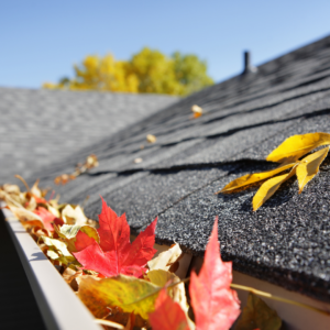 DIY gutter cleaning